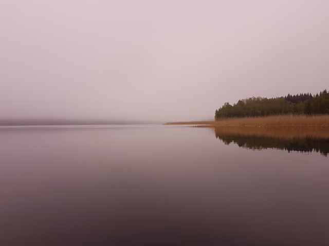 fifth_1